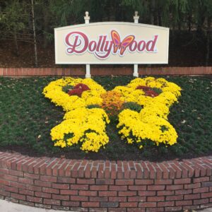 dollywood muziek verenigde staten