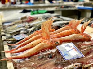 de markt van sétubal, stad langs de taag